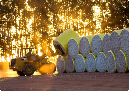 Foto Manutenção Preventiva e Suporte Técnico