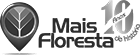 Selo-10-Anos-e-Logo-Mais-Floresta